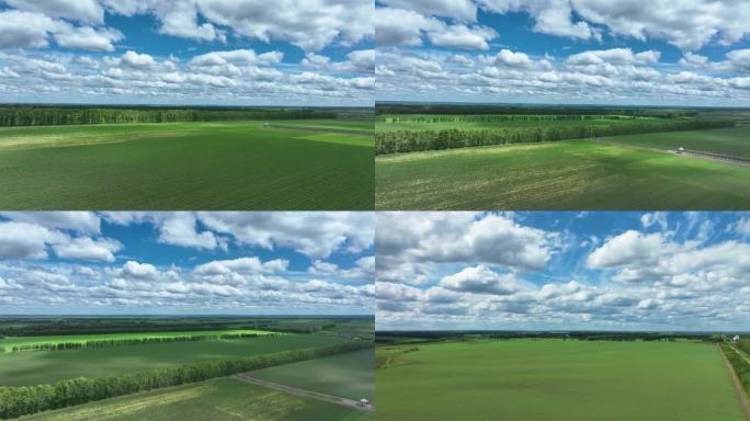 绿色田野上的壮丽航拍