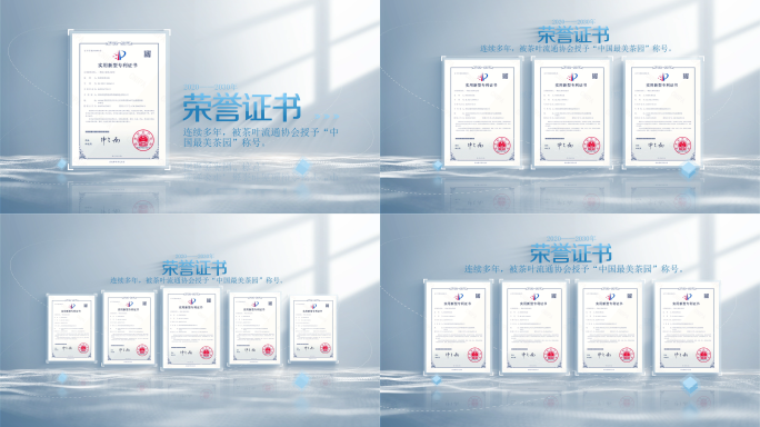 专利证书展示 竖版