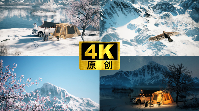 雪地情侣自驾露营老鹰飞越雪山湖泊翱翔3