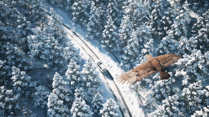 雪地情侣自驾露营老鹰飞越雪山湖泊翱翔3