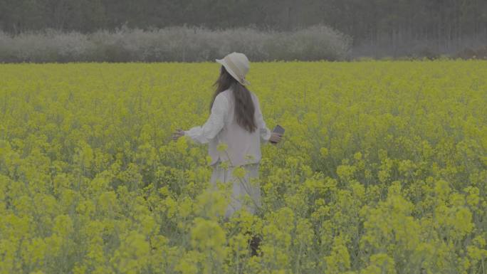 油菜花田中的少女漫步索尼灰片
