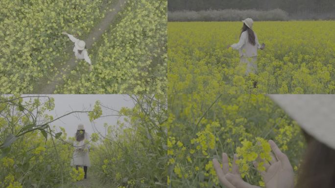 油菜花田中的少女漫步索尼灰片