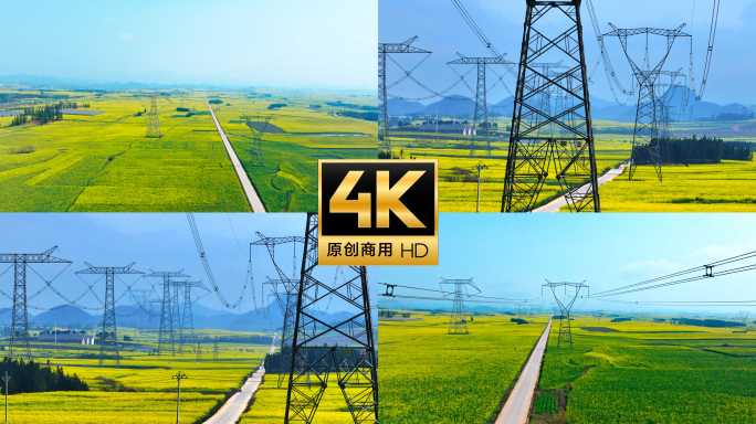油菜花风光中的输电铁塔  乡村振兴