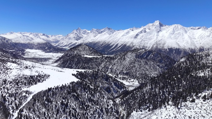 雪山湖泊森林震撼雪山冰湖壮丽风光