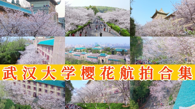 【50元】武汉大学樱花航拍合集
