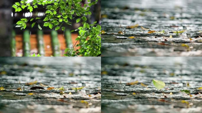 雨天唯美落叶 青石路落叶