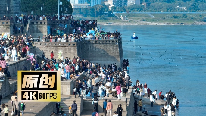 泸州航拍东门口海鸥人群人文景观城市风景