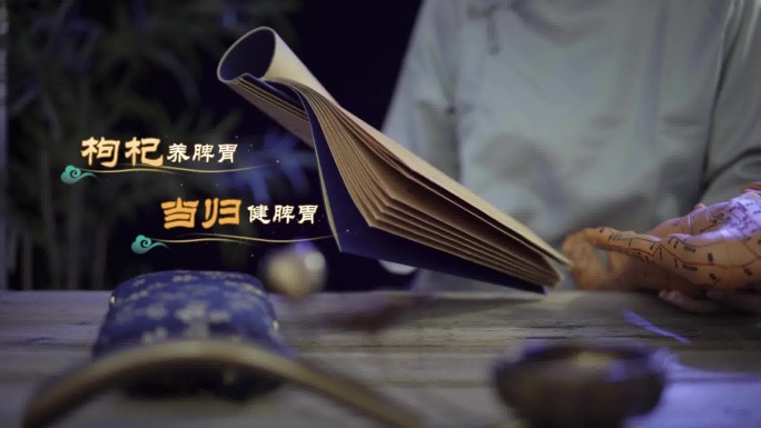 中国风国潮国风花字中医传统文化节目导视2