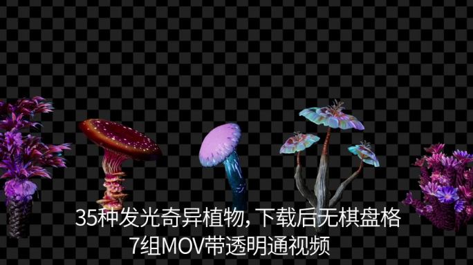 35个奇异发光植物   阿凡达发光植物