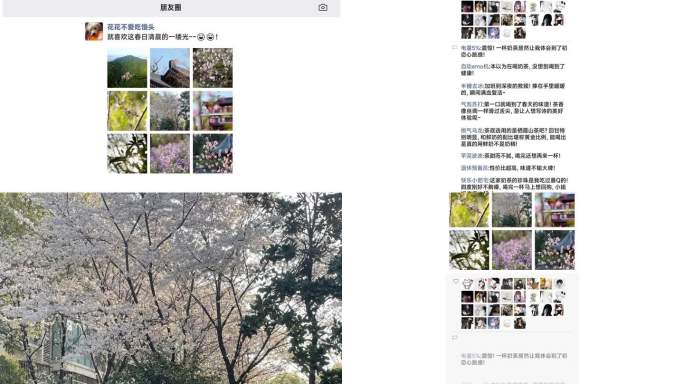 春日赏花踏青朋友圈点赞