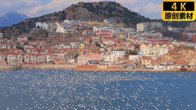青岛沙子口 海岸线 渔村