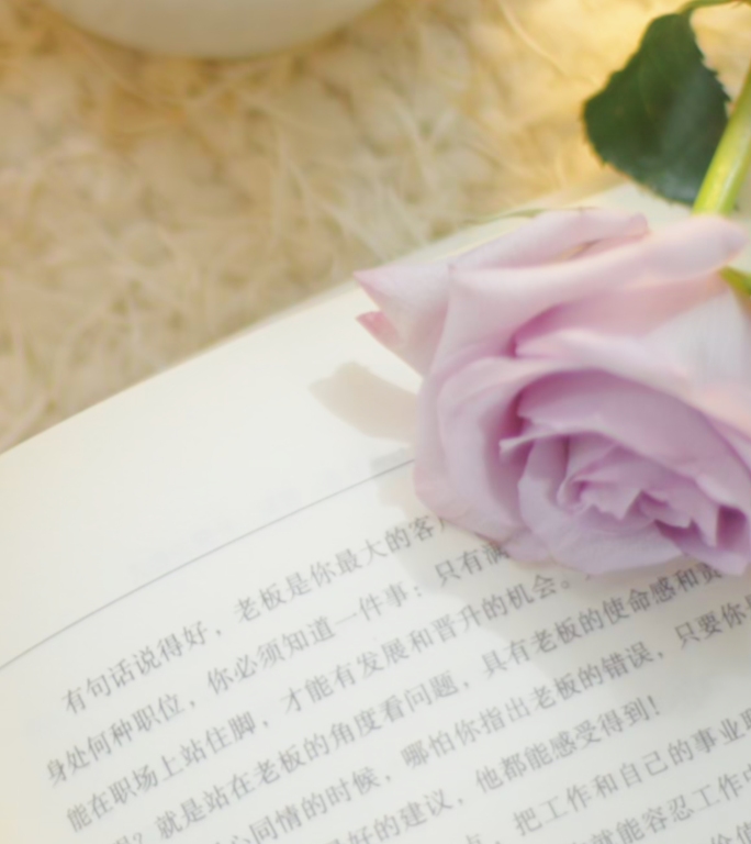 4k竖版唯美看书翻书阅读午后时光咖啡休闲