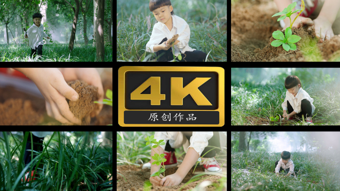 儿童小朋友种树苗植树节小男孩田园探索实拍