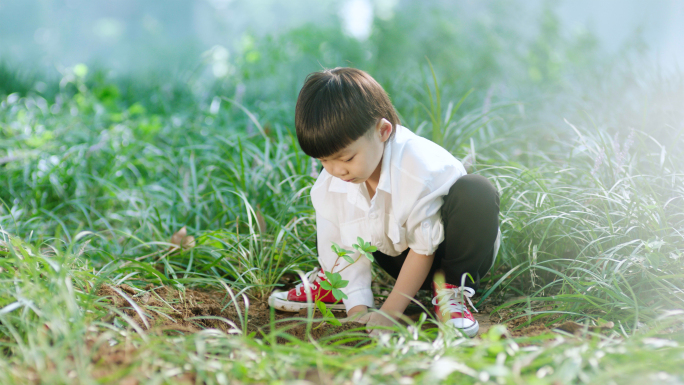 儿童小朋友种树苗植树节小男孩田园探索实拍