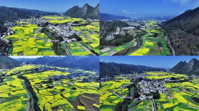 春日乡村油菜花海