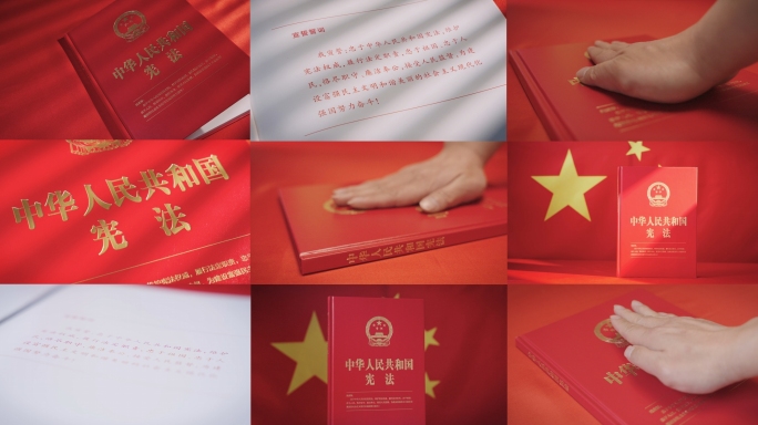 宪法宣誓1
