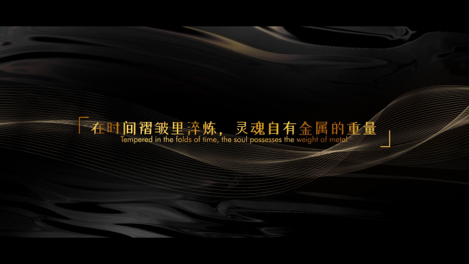 高端黑金质感文字展示