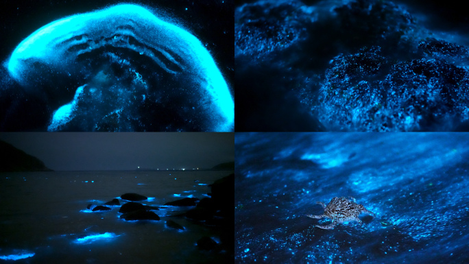 4K梦幻蓝眼泪荧光海实拍(平潭)