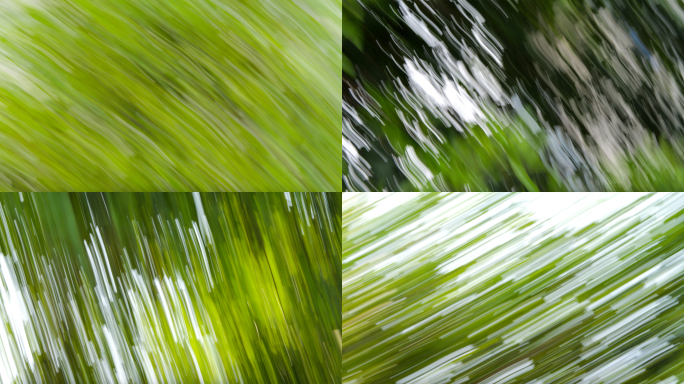 森林树影快切慢快门