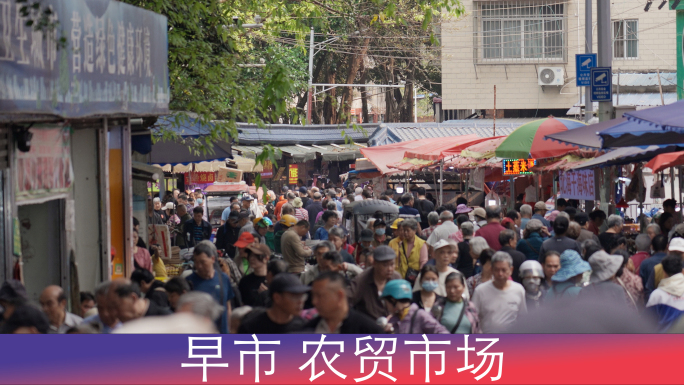 【人间烟火】南宁早市 菜市场 农贸市场