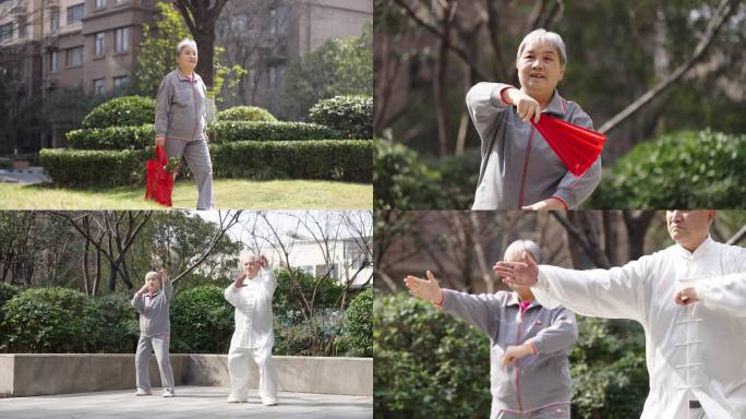 老人公园老人太极拳扇子舞锻炼身体