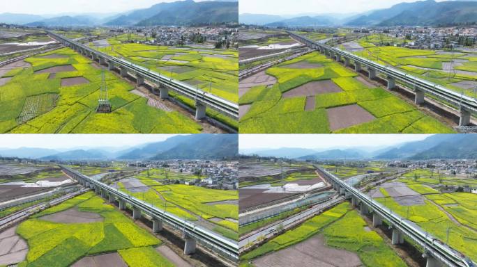 油菜花田高铁飞驰乡村田园风光与现代交通