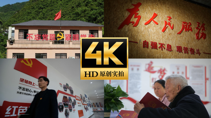 农村基层党组织村委会办事大厅换届选举