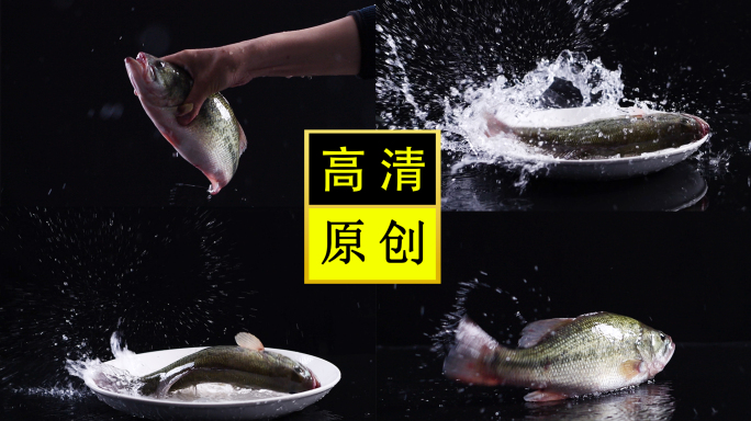 鱼-创意拍摄-盘子里的鱼-水花-慢动作