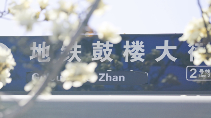 【8K】鼓楼大街地铁站春日玉兰