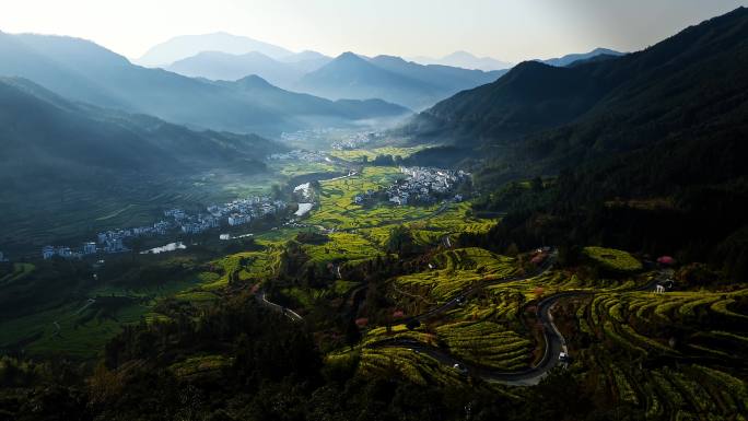 江西婺源江岭油菜梯田