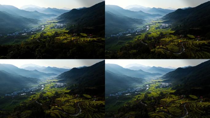 江西婺源江岭油菜梯田