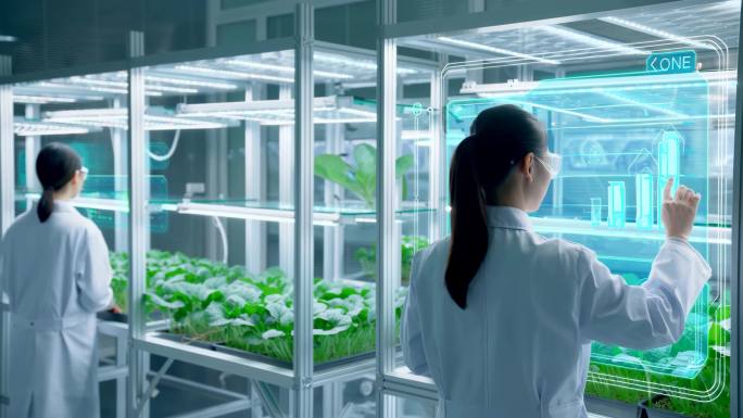 科技种植 农作物培育  农业研究中心