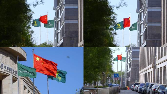 中国邮政总公司