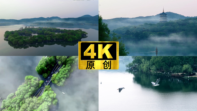 杭州西湖清晨云雾水墨西湖美景清晨西湖飞鸟