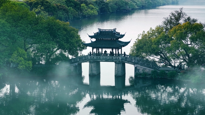 杭州西湖清晨云雾水墨西湖美景清晨西湖飞鸟