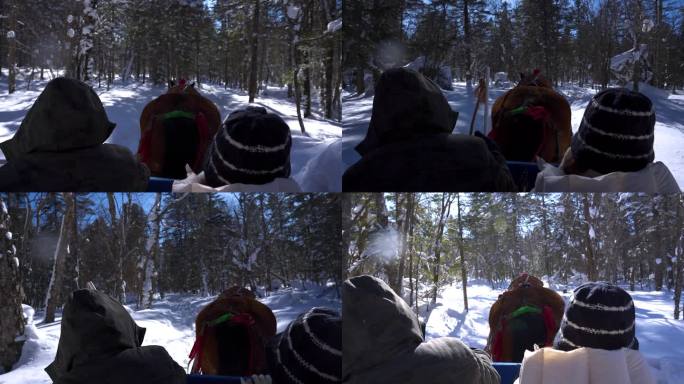 雪地马拉雪橇之旅 东北延吉马拉爬犁