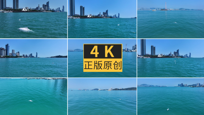 白海豚鹭江道鼓浪屿双子塔合集