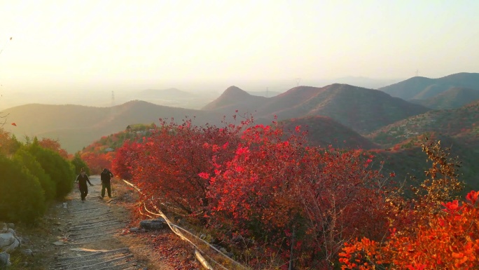 舞彩浅山秋日红叶山景航拍