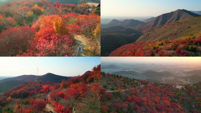 舞彩浅山秋日红叶山景航拍