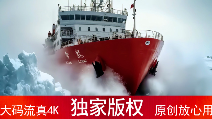 雪龙号 破冰船 北极科考 南极站