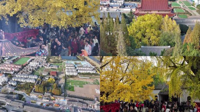寿县报恩禅寺航拍视频素材