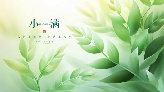 小满二十四节气