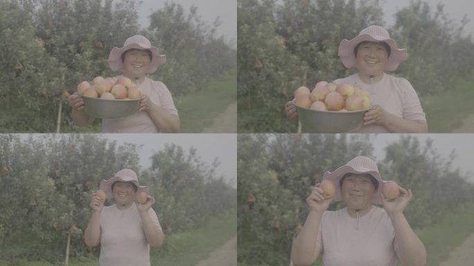 苹果丰收果农丰收淳朴微笑