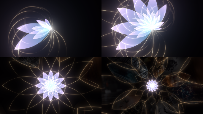 花朵万花筒图片展示AE模板