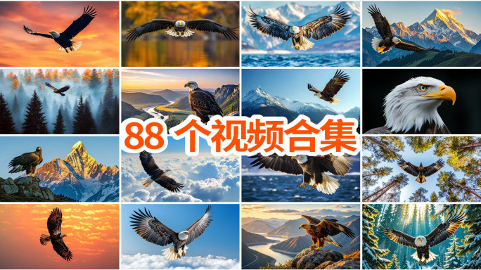 雄鹰翱翔老鹰大鹏展翅高飞雪山高峰