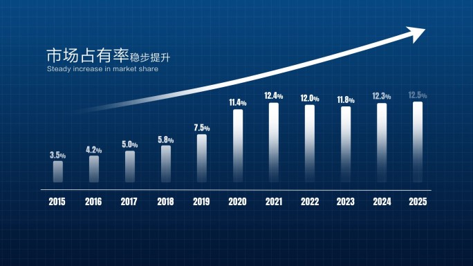 数据分析动画
