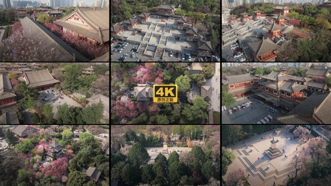 西安青龙寺古建樱花航拍