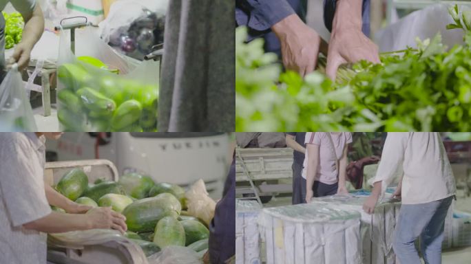 新鲜蔬菜批发