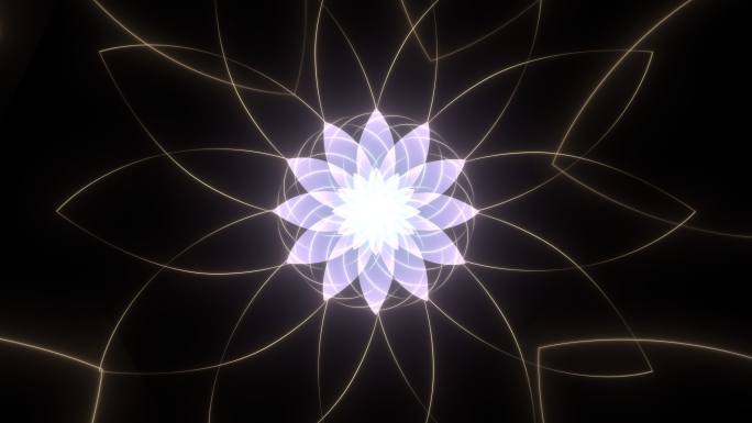 绽放光芒的花朵线条万花筒