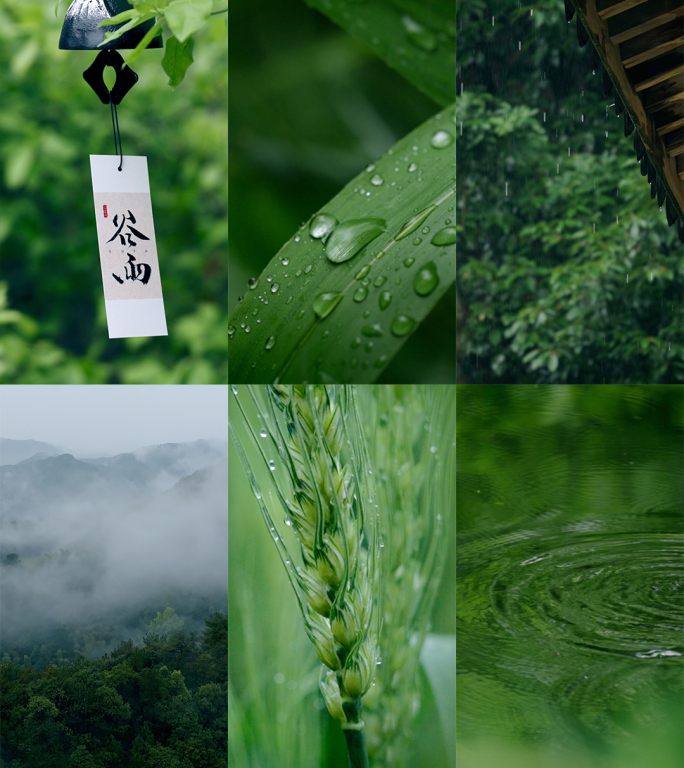 【竖屏】谷雨雨水春雨雨天意境二十四节气